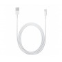 Cablu De Date Apple MD818ZM/A Blister